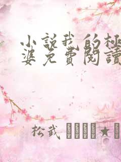 小说我的极品老婆免费阅读