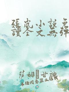 张岚小说免费阅读全文无弹窗