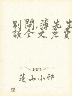 别闹,薄先生小说全文免费阅读