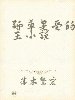 师尊是受的双男主小说