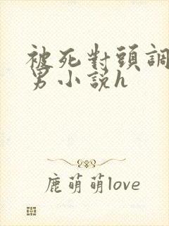 被死对头调教男男小说h