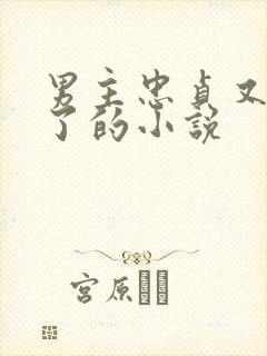 男主忠贞又出轨了的小说