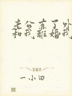 老公有了外遇要和我离婚我怎么办