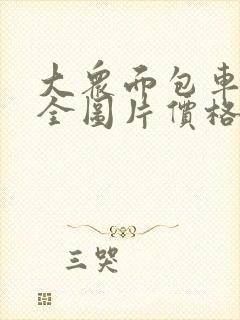 大众面包车型大全图片价格表