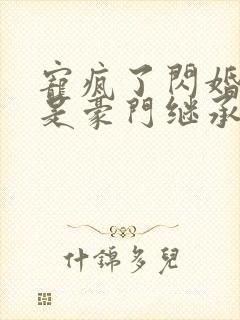 宠疯了闪婚老公是豪门继承人