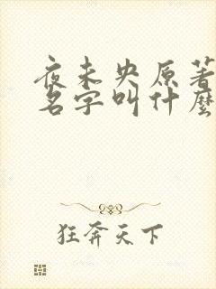 夜未央原著小说名字叫什么