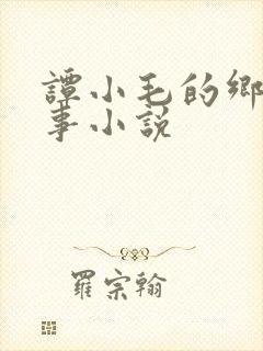 谭小毛的乡村艳事小说