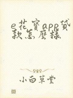 e花宝app贷款怎么样