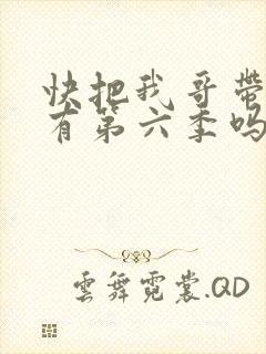 快把我哥带走还有第六季吗