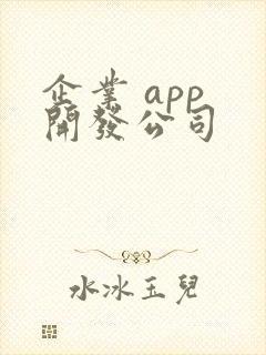 企业 app 开发公司