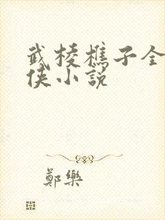 武棱樵子全部武侠小说