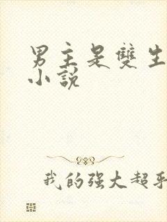 男主是双生子的小说