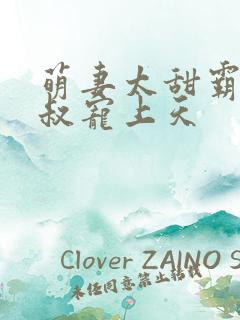 萌妻太甜霸道大叔宠上天