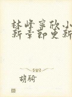 林峰宁欣小说最新章节更新免费阅读