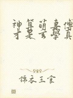 神算萌妻傅太太才是玄学真大佬怎么样