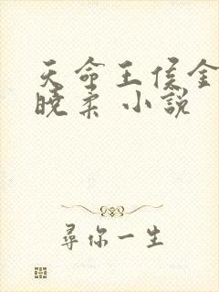 天命王侯金锋关晓柔 小说