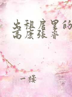 出租房里的交互高康张睿