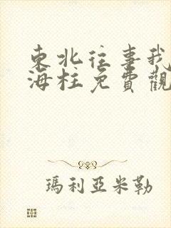 东北往事我叫刘海柱免费观看完整版