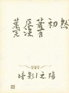 叶辰萧初然更新完没有