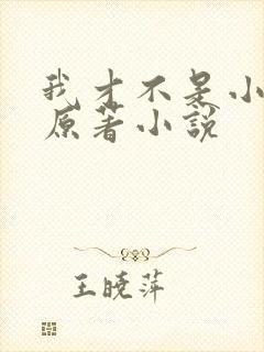 我才不是小可怜原著小说