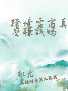 跨境电商真的那么赚钱吗