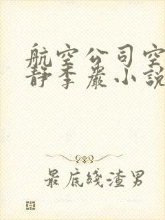 航空公司空姐王静李岩小说