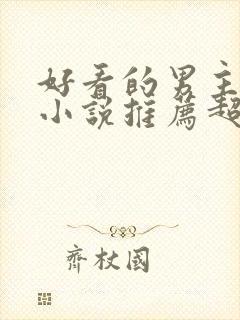 好看的男主穿越小说推荐超经典