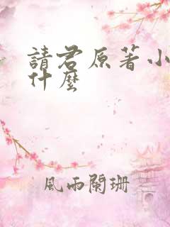 请君原著小说叫什么