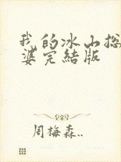 我的冰山总裁老婆完结版