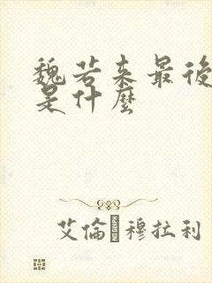 魏若来最后结局是什么