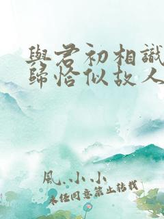 与君初相识故人归恰似故人归在线播放