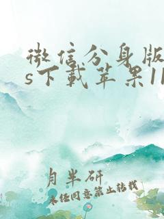 微信分身版ios下载苹果11