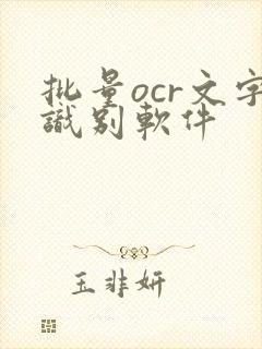批量ocr文字识别软件