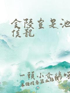 金陵岂是池中物侯龙