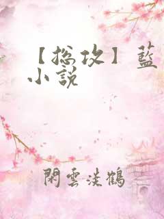 【总攻】蓝曦臣小说