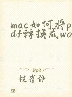 mac如何将pdf转换成word文档