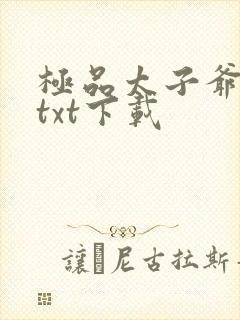 极品太子爷全本txt下载
