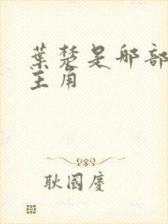 叶楚是哪部小说主角