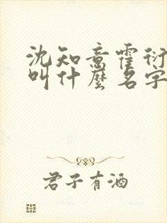 沈知意霍衍小说叫什么名字