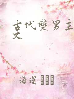 古代双男主高干文