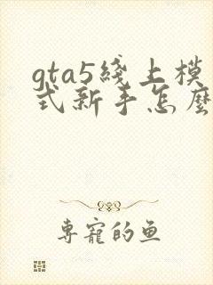 gta5线上模式新手怎么赚钱