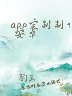 app定制制作 安卓