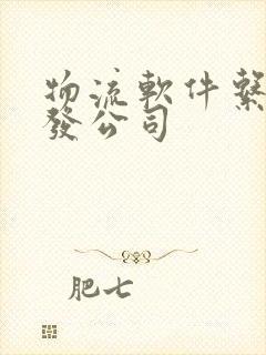 物流软件系统开发公司