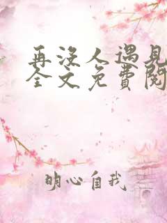 再没人遇见小说全文免费阅读