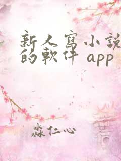 新人写小说赚钱的软件 app