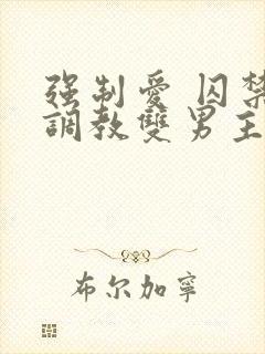 强制爱 囚禁 调教双男主