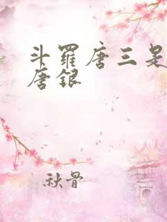 斗罗唐三是我哥唐银