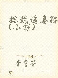 总裁追妻路漫漫(小说)