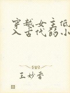穿越女主低调融入古代的小说