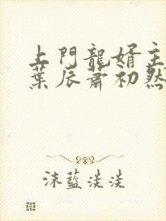 上门龙婿主人公叶辰萧初然
